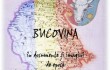 bucovina
