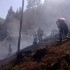 incendiu forestier 3