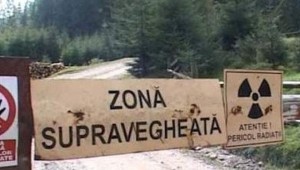 mina crucea