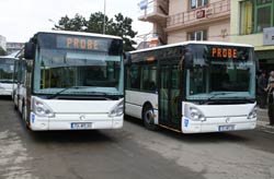 autobuz TPL