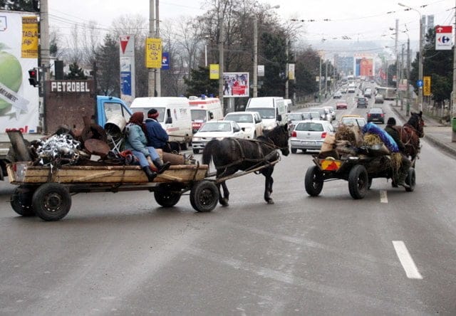 caruta prin suceava 3