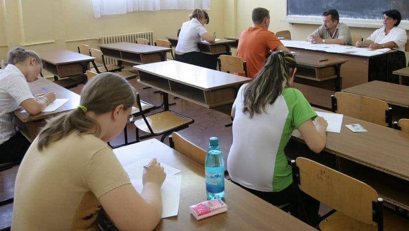 Controale la lemnarii din zona Dornei: 82 de sancțiuni, peste 74.000 de lei amenzi și 20,9 metri cubi de lemn confiscat