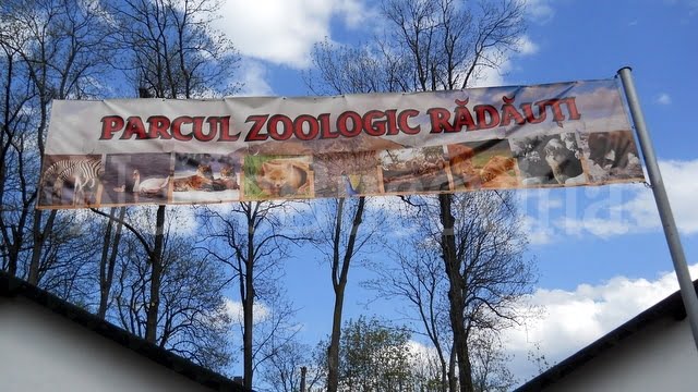Parcul zoologic Radauti