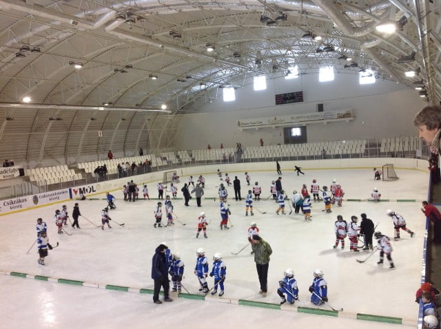 patinoar cirta