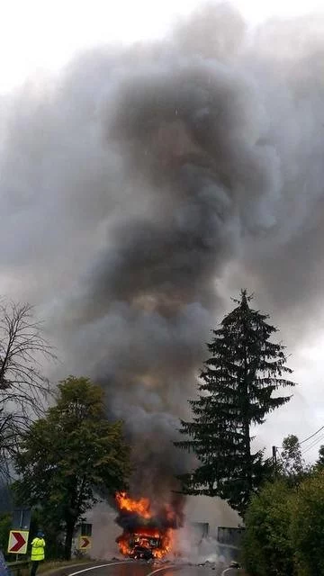 incendiu TIR vama 2