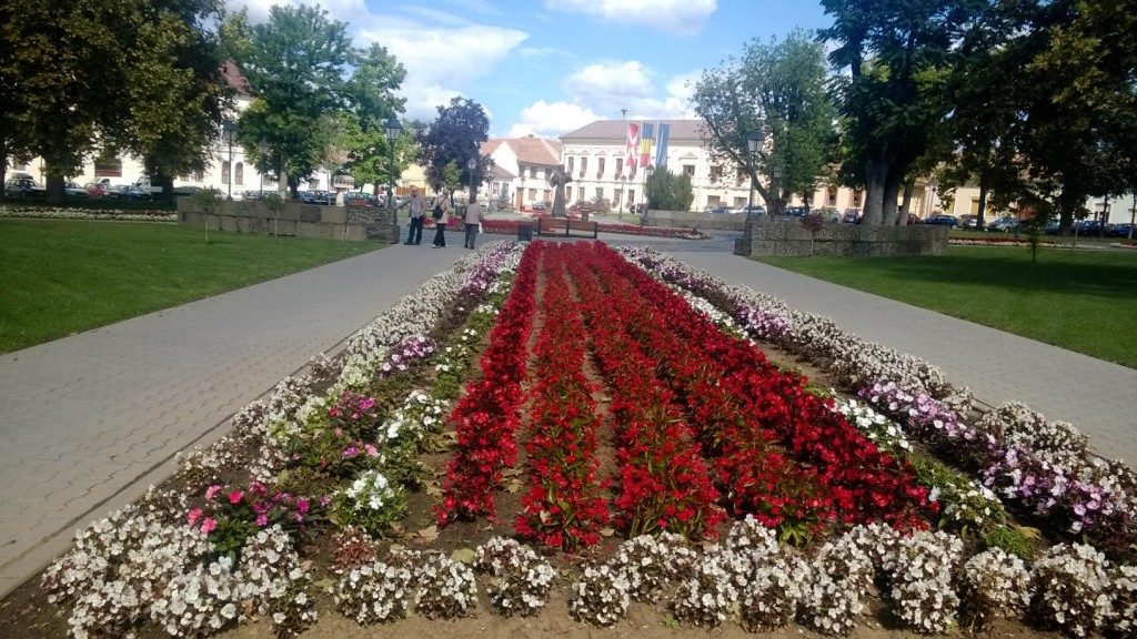 centru suceava flori (4)