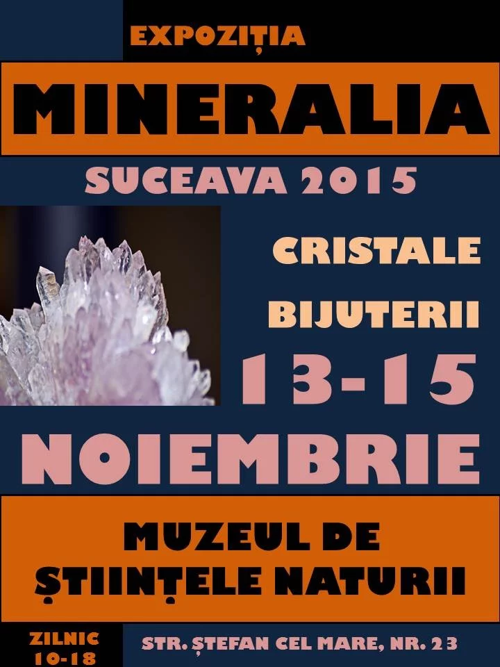 2015 Suceava Afis A2