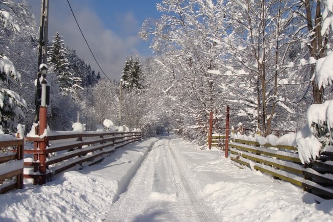 bucovina iarna