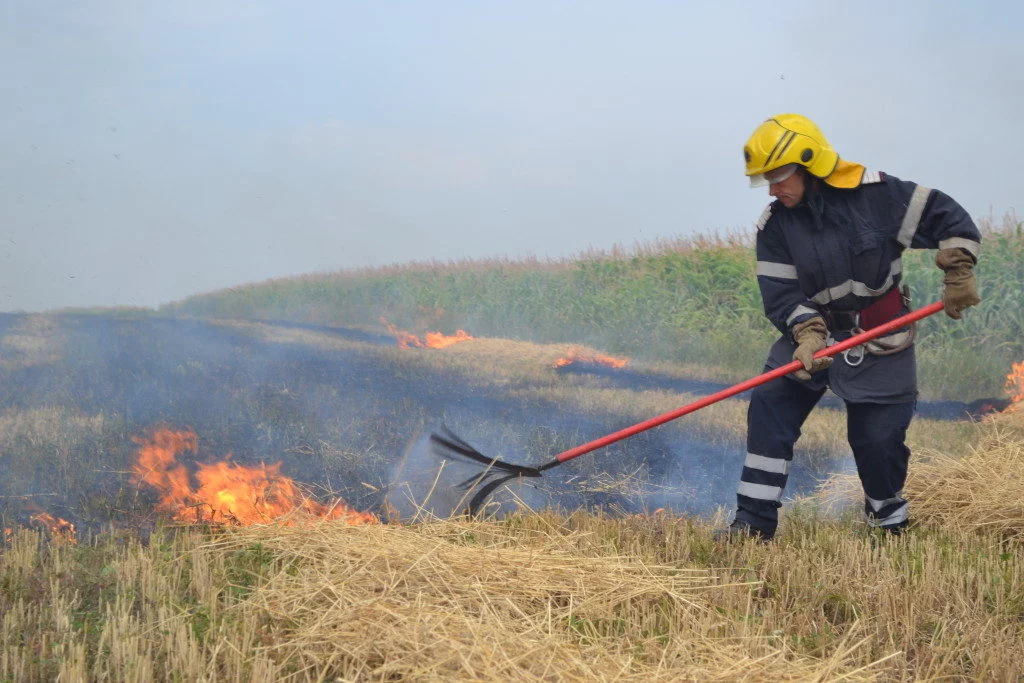 pompieri incendiu vegetatie uscata (10)