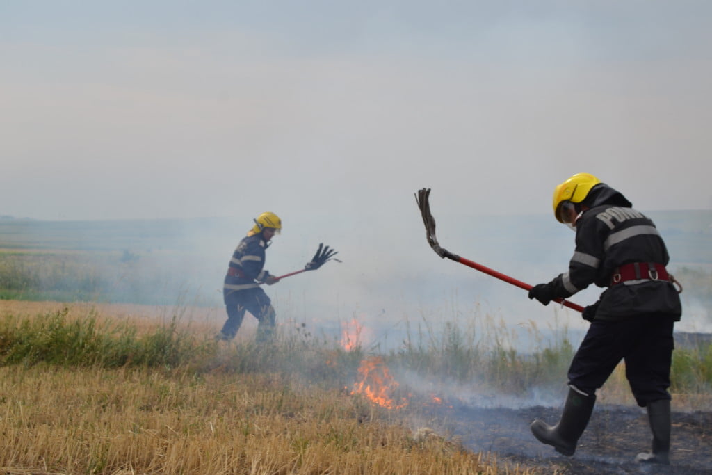 incendiu vegetatie (11)