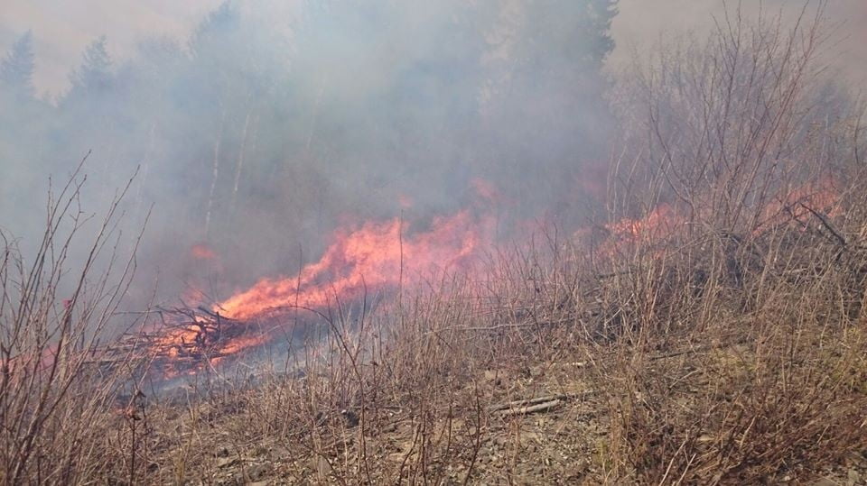 https://www.newsbucovina.ro/wp-content/uploads/2017/03/incendiu-padure-pompieri-vegetatie-uscata-9.jpg