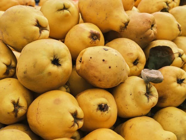 5 bienfaits des coings