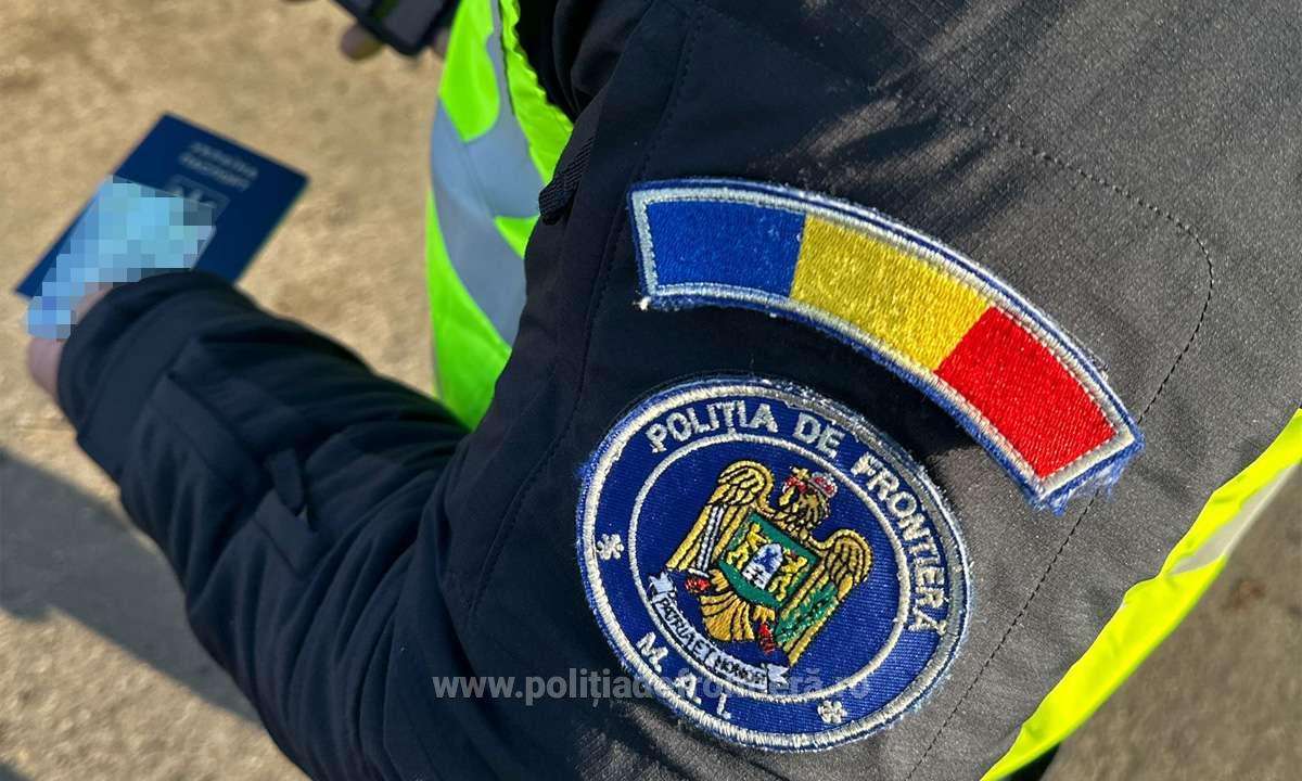 Amendă de 6.000 de lei pentru transportul a peste 3 metri cubi de lemn fără aviz, la Pojorâta