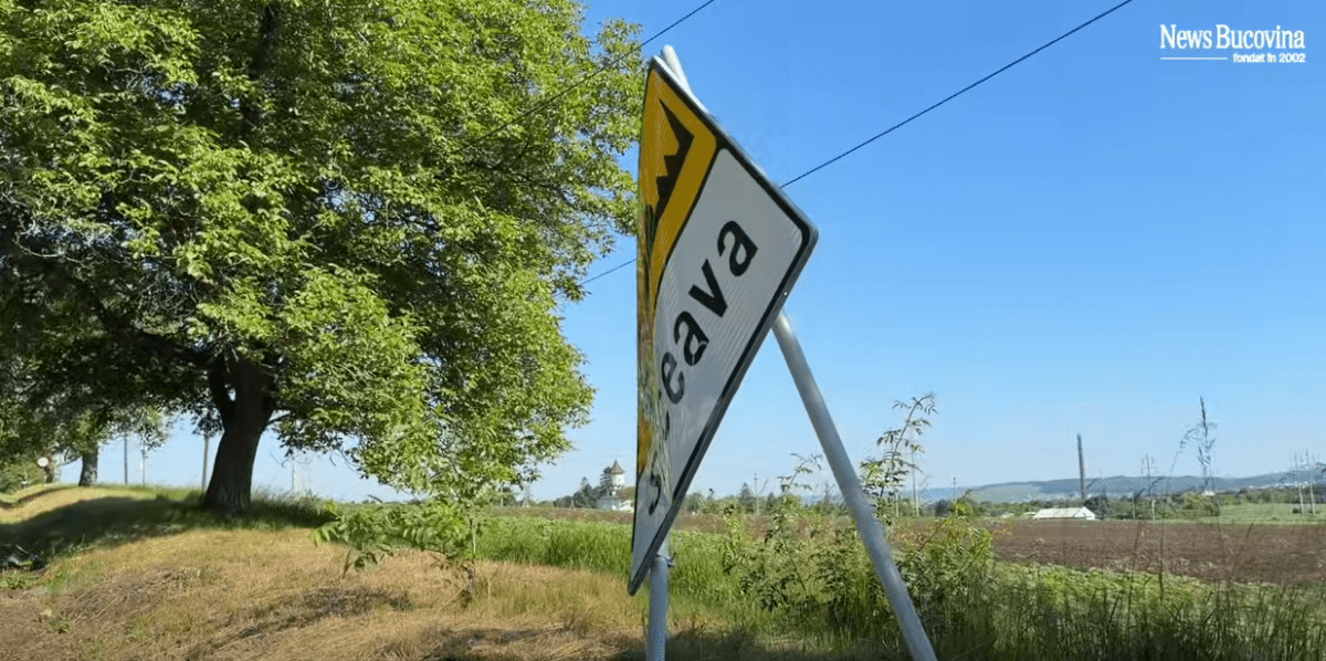 Șoferul care a părăsit locul accidentului mortal de pe DJ 208A, arestat preventiv pentru 30 de zile