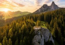 CJ Suceava vrea să declare de utilitate publică PUZ-ul pentru arealul turistic al munților Rarău. Documentația acoperă 7.249 de hectare, pe trei UAT-uri