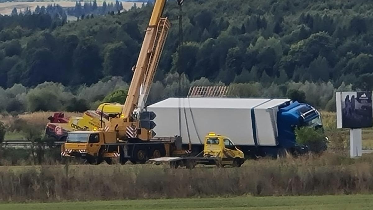 Controale la lemnarii din zona Dornei: 82 de sancțiuni, peste 74.000 de lei amenzi și 20,9 metri cubi de lemn confiscat