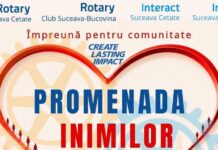 Promenada Inimilor, sâmbătă la Suceava. Rotary invită sucevenii la o plimbare albă pentru sănătatea inimii