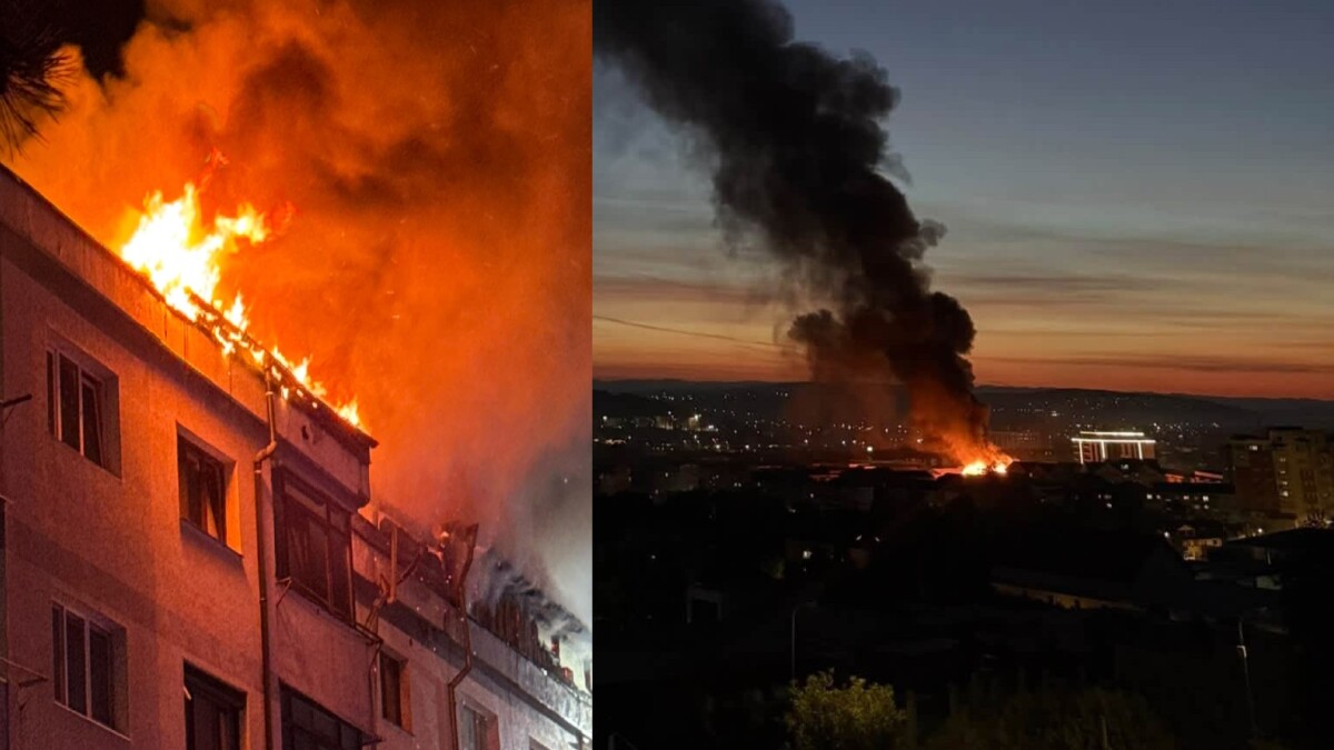 Controale la lemnarii din zona Dornei: 82 de sancțiuni, peste 74.000 de lei amenzi și 20,9 metri cubi de lemn confiscat