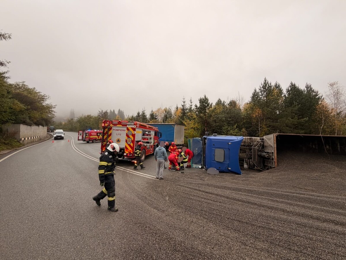 Amendă de 6.000 de lei pentru transportul a peste 3 metri cubi de lemn fără aviz, la Pojorâta